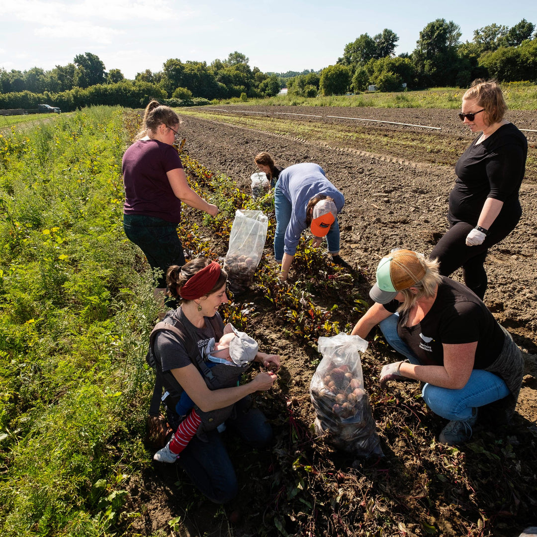 Neighbors Helping Neighbors: The Story of Vermont Foodbank’s Partnership with Darn Tough