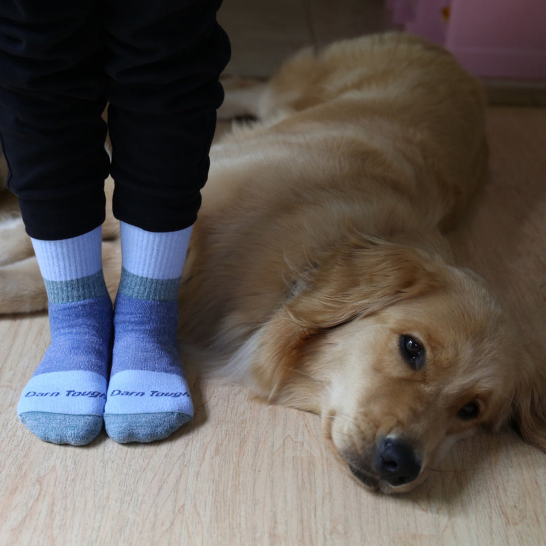 Staff Picks: If Our Dogs Chose