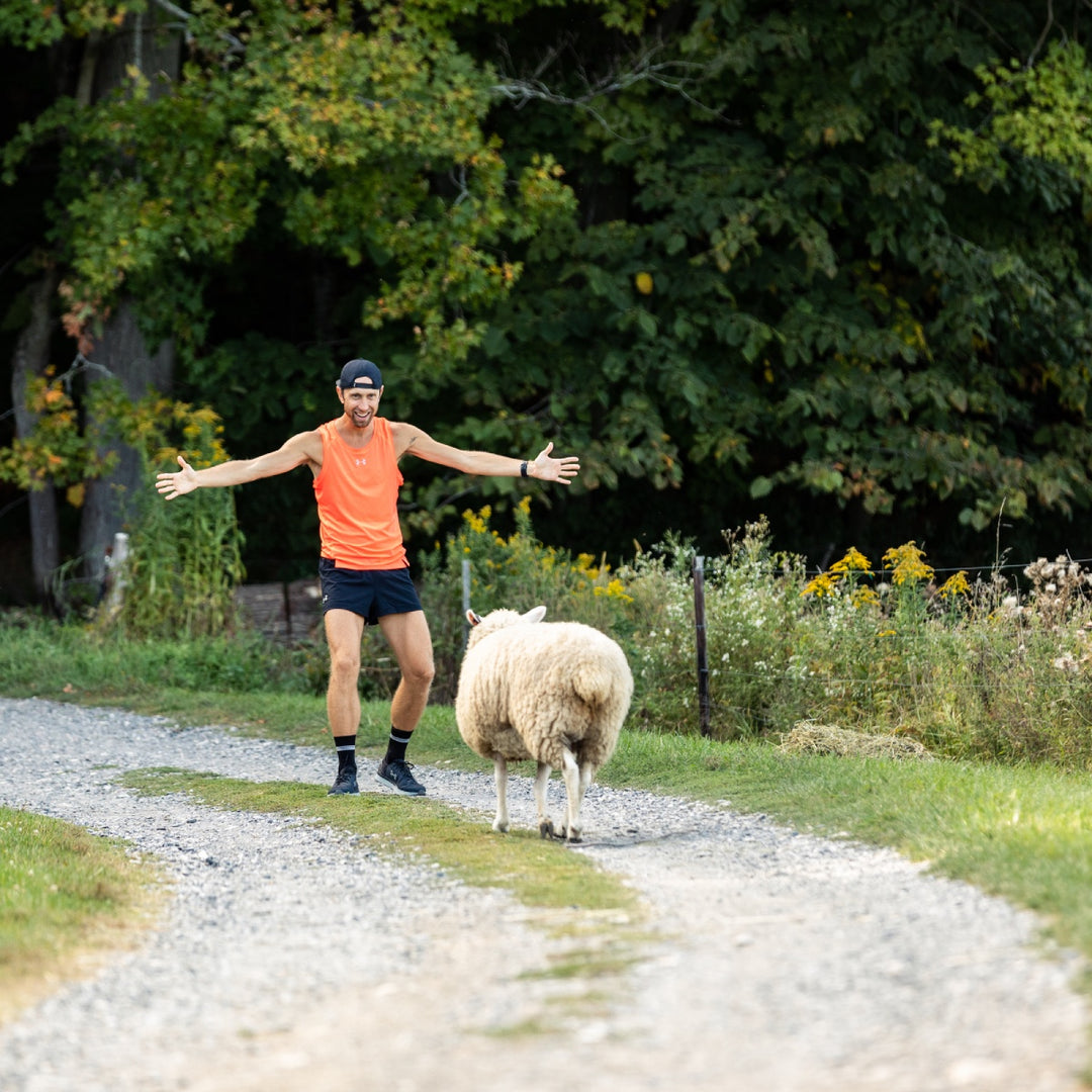 Nature’s Most Amazing Fiber: Why It’s Only Natural We Love Merino Wool