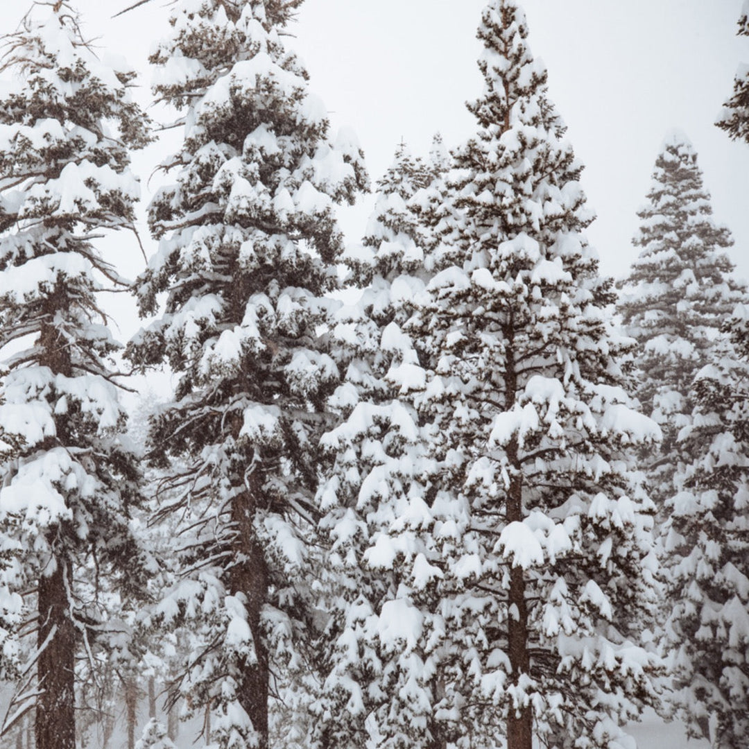 The Cold Truth About Warm Feet: A Guide to Winter Hiking Socks