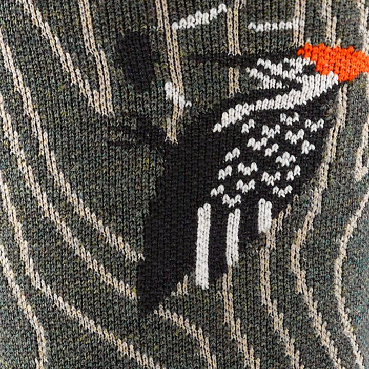 Call out detail image of the of the 6111 forest front image of a wood pecker on a tree 